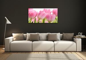 Fotoobraz na skle Růžové tulipány osh-76775867