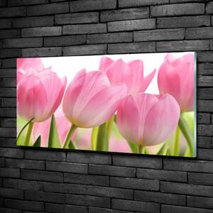 Fotoobraz na skle Růžové tulipány osh-76775867