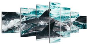 Obraz - Delfíni v oceáně (210x100 cm)