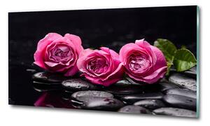 Foto-obrah sklo tvrzené Růžové růže osh-77048055