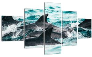 Obraz - Delfíni v oceáně (125x70 cm)