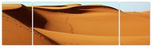 Obraz - Stoupy v poušti (170x50 cm)