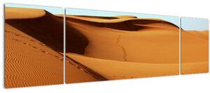 Obraz - Stoupy v poušti (170x50 cm)