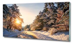Fotoobraz na skle Cesta v lese zima osh-77332313