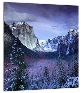 Obraz - Yosemite, USA (30x30 cm)