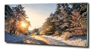 Fotoobraz na skle Cesta v lese zima osh-77332313