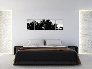 Obraz černobílý - palmy (170x50 cm)