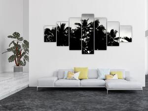 Obraz černobílý - palmy (210x100 cm)