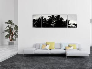Obraz černobílý - palmy (170x50 cm)