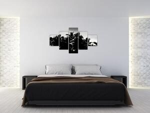 Obraz černobílý - palmy (125x70 cm)