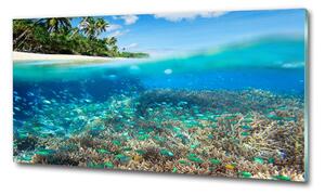 Fotoobraz na skle Korálový útes osh-78236057