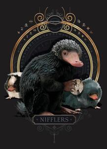 Umělecký tisk Fantastic Beasts - Nifflers