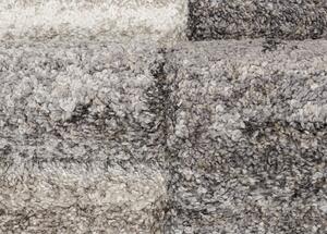 Breno Kusový koberec CASTRO Carved 5507/NQ2J, Vícebarevné, 80 x 120 cm