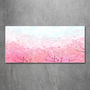 Foto obraz skleněný horizontální Květy višně osh-78464796