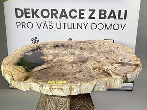 Fosilní deska ze zkamenělého dřeva 63 × 47 cm – Bali