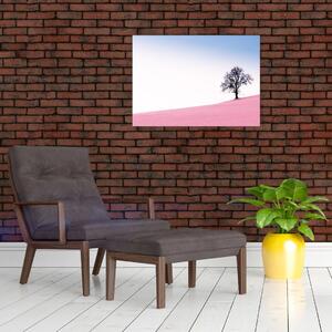 Obraz - Růžový sen (70x50 cm)