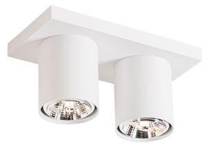 Moderní stropní bodové svítidlo bílé 2-světelné - Tubo