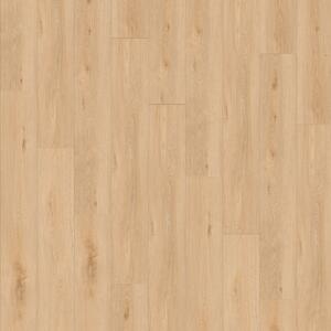 Gerflor CREATION 30 - 1704 Aquinoah Blond 3,36 m²