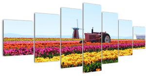 Obraz tulipánové farmy (210x100 cm)