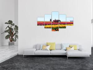Obraz tulipánové farmy (125x70 cm)