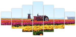 Obraz tulipánové farmy (210x100 cm)