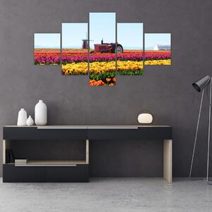 Obraz tulipánové farmy (125x70 cm)