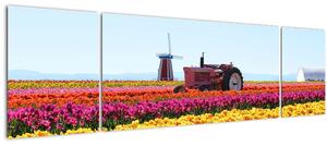 Obraz tulipánové farmy (170x50 cm)