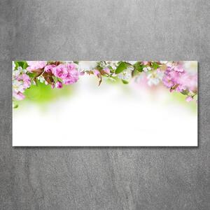 Foto obraz sklo tvrzené Jarní květiny osh-79458656