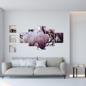 Obraz - Magnolie (125x70 cm)