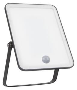LEDVANCE LED reflektor Essential Sensor 30 W 3000 K s pohybovým čidlem