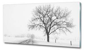 Foto obraz sklo tvrzené Strom zima osh-80032038