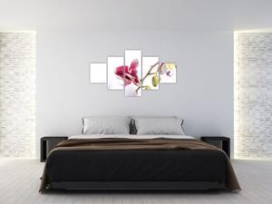 Obraz květu orchideje (125x70 cm)