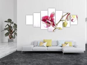 Obraz květu orchideje (210x100 cm)