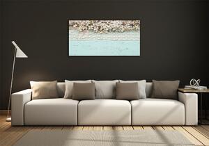 Fotoobraz na skle Květy višně osh-80227889