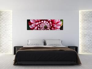 Obraz růžové jIřiny (170x50 cm)