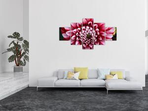 Obraz růžové jIřiny (125x70 cm)