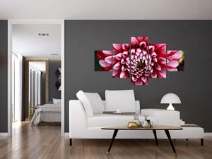 Obraz růžové jIřiny (125x70 cm)