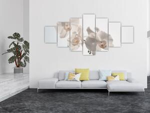 Obraz bílé orchideje (210x100 cm)