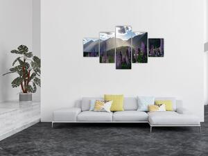 Obraz - Scénerie vlčích bobů (125x70 cm)