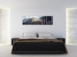Obraz - Scénerie vlčích bobů (170x50 cm)