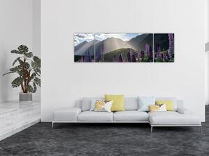 Obraz - Scénerie vlčích bobů (170x50 cm)