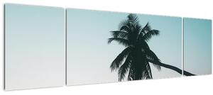 Obraz - Palma na Bali (170x50 cm)