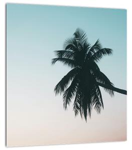 Obraz - Palma na Bali (30x30 cm)