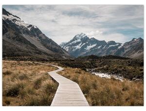 Obraz - Chodník v údolí hory Mt. Cook (70x50 cm)