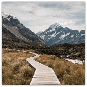 Obraz - Chodník v údolí hory Mt. Cook (30x30 cm)