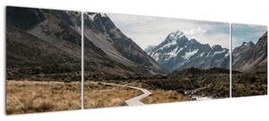 Obraz - Chodník v údolí hory Mt. Cook (170x50 cm)