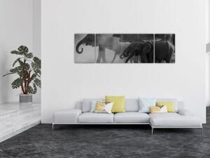 Obraz slonů - černobílý (170x50 cm)