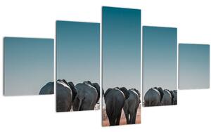 Obraz - Odchod slonů (125x70 cm)