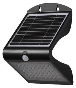 LEDVANCE venkovní solární LED svítidlo Endura Flood Butterfly 4 W 4000 K senzor IP65