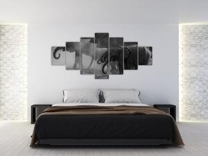 Obraz slonů - černobílý (210x100 cm)